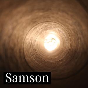 Samson - Losing Sight of the Big Picture